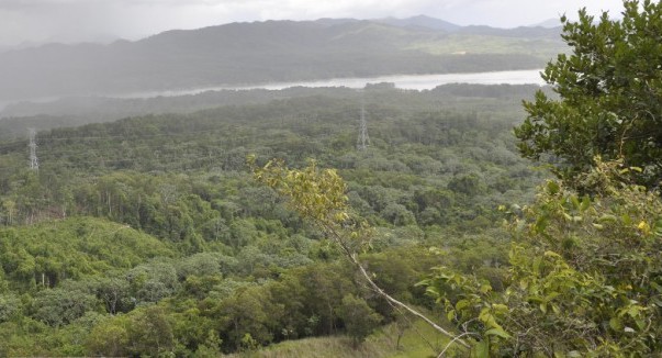 Loma Miranda